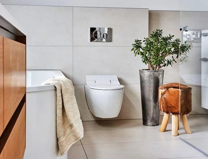 Dachschraegenbad WC